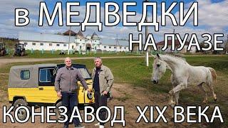 МЕДВЕДКИ  КОНЕЗАВОД  XIX ВЕКА