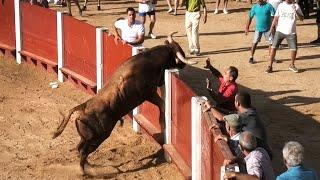 Solo Saltos de Toros Bravos 2023