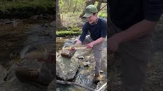 EPIC MONSTER FISH CAUGHT BY HAND  #fishing #shorts