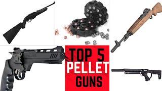 5 Best Pellet Guns for Small GameSquirrelsRaccoons 2024