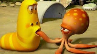 LARVA - SHORT ARM OCTOPUS  Cartoon Movie  Cartoons  Comics  Larva Cartoon  LARVA Official