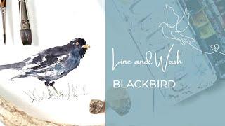 Learn to sketch a Blackbird in line and wash  Full tutorial so bring supplies and warm tea