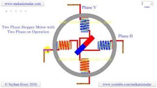 two phase stepper motor with two phase on operation