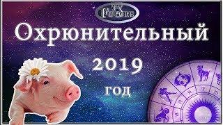 Точный гороскоп 2019 год для всех знаков зодиака