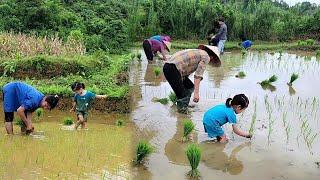 Minh Chau and the first steps in the rice fields.