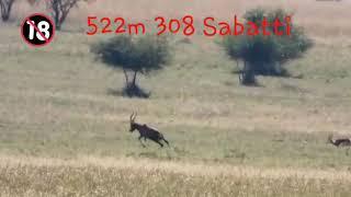 308win Sabatti 522m 155gr ELD-M..