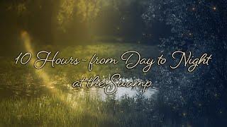  From Day to Night at the Swamp with Birds Crickets Grasshoppers and Frogs Singing - 10 Hours