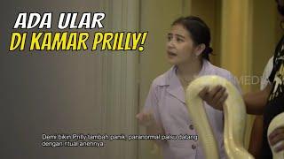 Prilly Latuconsina PANIK Ada Ular di Kamarnya  BIKIN PANIK 090122 Part 1