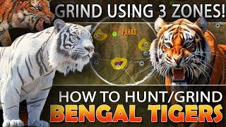 TIGER GUIDE  HOW to GRIND TIGERS Using ONLY 3 DRINK ZONES - Call of the Wild