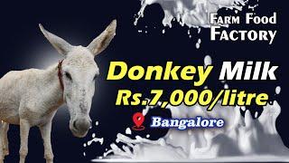 Worlds Most Expensive Milk  Donkey Milk Sold At Rs 7000 per Litre