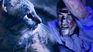 Cats Vs Zombies - Battery