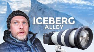 Who Needs Antarctica For Icebergs? Iceberg Alley Newfoundland