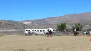 Dayton Valley Events Center - Equestrian