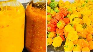 Jamaica Scotch Bonnet Pepper Sauce How To Make Traditional Caribbean Pepper Sauce Donna hot sauce