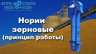 Нория зерновая принцип работы  Агро-Союз