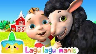 WOL DARI DOMBA HITAM  Lagu-lagu yang Manis & Lagu-lagu Anak  Lagu lagu yang Manis untuk bayi