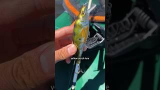 Will this SUPER Realistic Lure Catch Fish?? #shorts #fishing