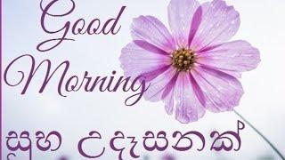 Good Morning video good morning sinhala video good morning status wishes