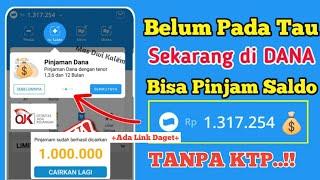 Resmi Ojk  Pinjam Saldo DANA Tanpa Dana Paylater Dana Cicil  Cara Pinjam Uang di Dana