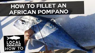 How to Fillet an African Pompano  Local Knowledge Fishing Show
