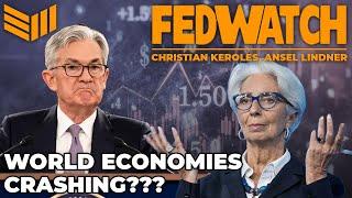 Is the Fed Trying To Crash The Economy?  Fed Watch #99