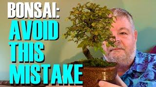 The Bonsai Beginner Mistake We All Make And How To Avoid It