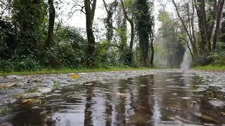 10 hours of rain sounds on a cobblestone road in the forest - White noise for deep relaxation