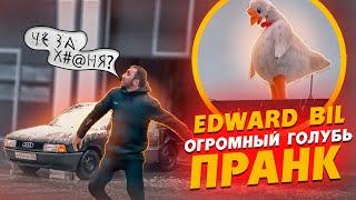 EDWARD BIL  ЗЛОЙ ГОЛУБЬ ПРАНК  НАПАЛ НА МАШИНУ  реакция людей на ОГРОМНУЮ ПТИЦУ