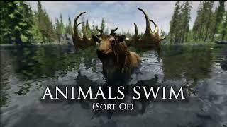 Animals Swim Sort Of