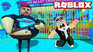 MrBeast Hapishanesinden Kaçıyorum  Roblox