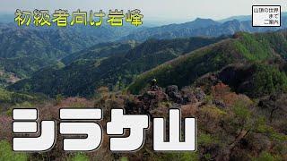 【登山】西上州シラケ山 -初心者向け岩峰-