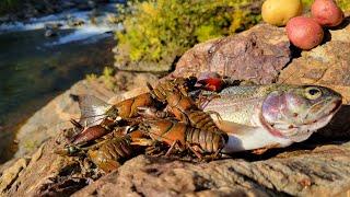 WILD TROUT and Cajun Crawfish Boil ALONE in REMOTE WILDERNESS