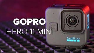 GoPro Hero 11 mini im Test Die Mini-Action-Cam  Abmessungen  App  Kameraqualität im Check