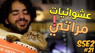 منتج معمول مخصوص للقطة   عشوائيات مراتي S5E2 #21