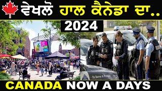 CANADA 2024Brampton traffic Punjabi Student Study Visa Insurance  - AB News Canada