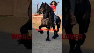 cute & beautiful girl ride dancing horse girl sit on dancing horse#ghodi  #horse #horseracing #ghoda