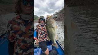 Lobina Gigante con Swimbait en México     #pesca #bassfishing #largemouthbass #lure