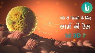 स्पर्म की अंडे से मिलने की दौड़ है कितनी दिलचस्प देखें 3D में - Fertilisation in Hindi