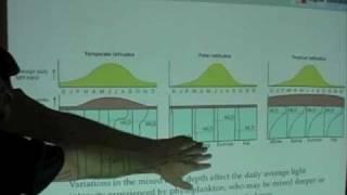 Ocean Productivity - Role of Vertical Mixing