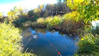 PIKE IN THE OLD-FASHIONED WAY FOR A SPINNER Spinning fishing on the small river