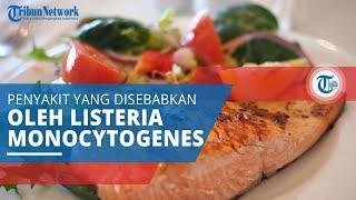 Listeriosis Penyakit yang Ditularkan Melalui Makanan yang Disebabkan oleh Listeria Monocytogenes