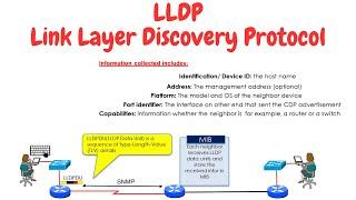 Link Layer Discovery Protocol LLDP