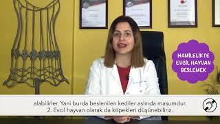 EVCİL HAYVAN BESLEMEK - Op. Dr. Seçil Günay Avcı