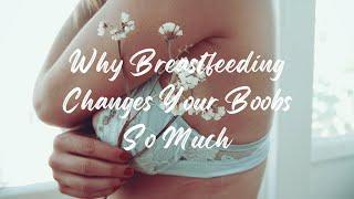 Why Breastfeeding Changes Your Boobs So Much And What To Do About It