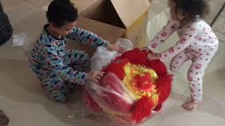 milan buka kado barongsai aliexpress