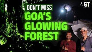 Glowing Forest in Goa  Must-Visit Monsoon Places in Goa  Bioluminescent  Goa  Gomantak Times 