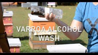 Varroa Alcohol Wash