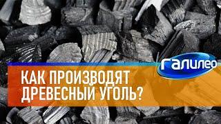 Галилео  Как из дерева получают древесный уголь?