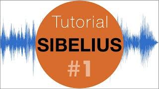 Sibelius Tutorial auf Deutsch #1 Einführung Avid