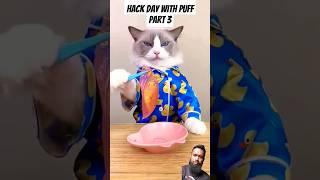 Dont try this at home Hack day with Puff part 3 #littlepuff #thelittlepuff #puffknowsbetter #hack